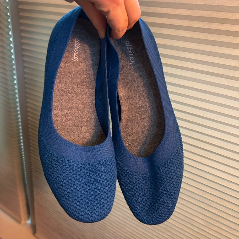 Allbirds Tree Breezer in cobalt